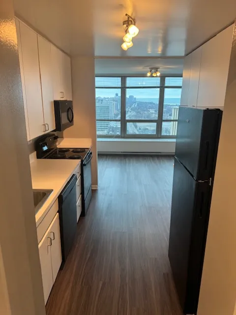 3450 N Lake Shore Dr 60657 60657-unit#3406-Chicago-IL