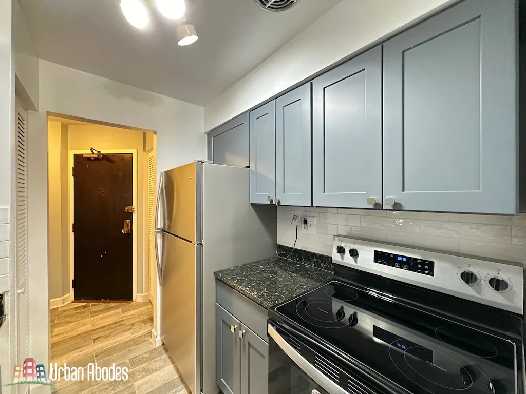 3825 N Pine Grove, , 60613 60613-unit#210-Chicago-IL