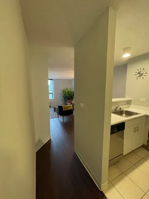 445 E Ohio St   60611 60611-unit#3005-Chicago-IL