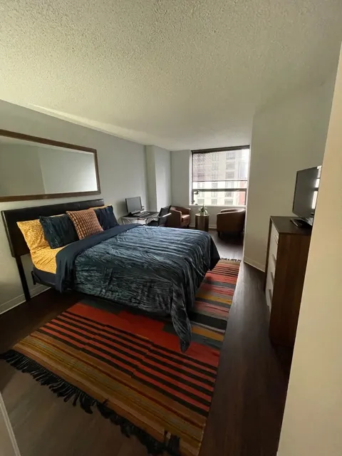 445 E Ohio St   60611 60611-unit#3005-Chicago-IL