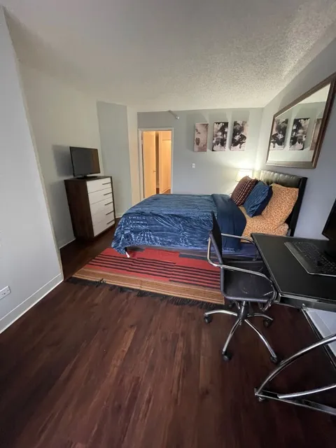 445 E Ohio St   60611 60611-unit#3005-Chicago-IL