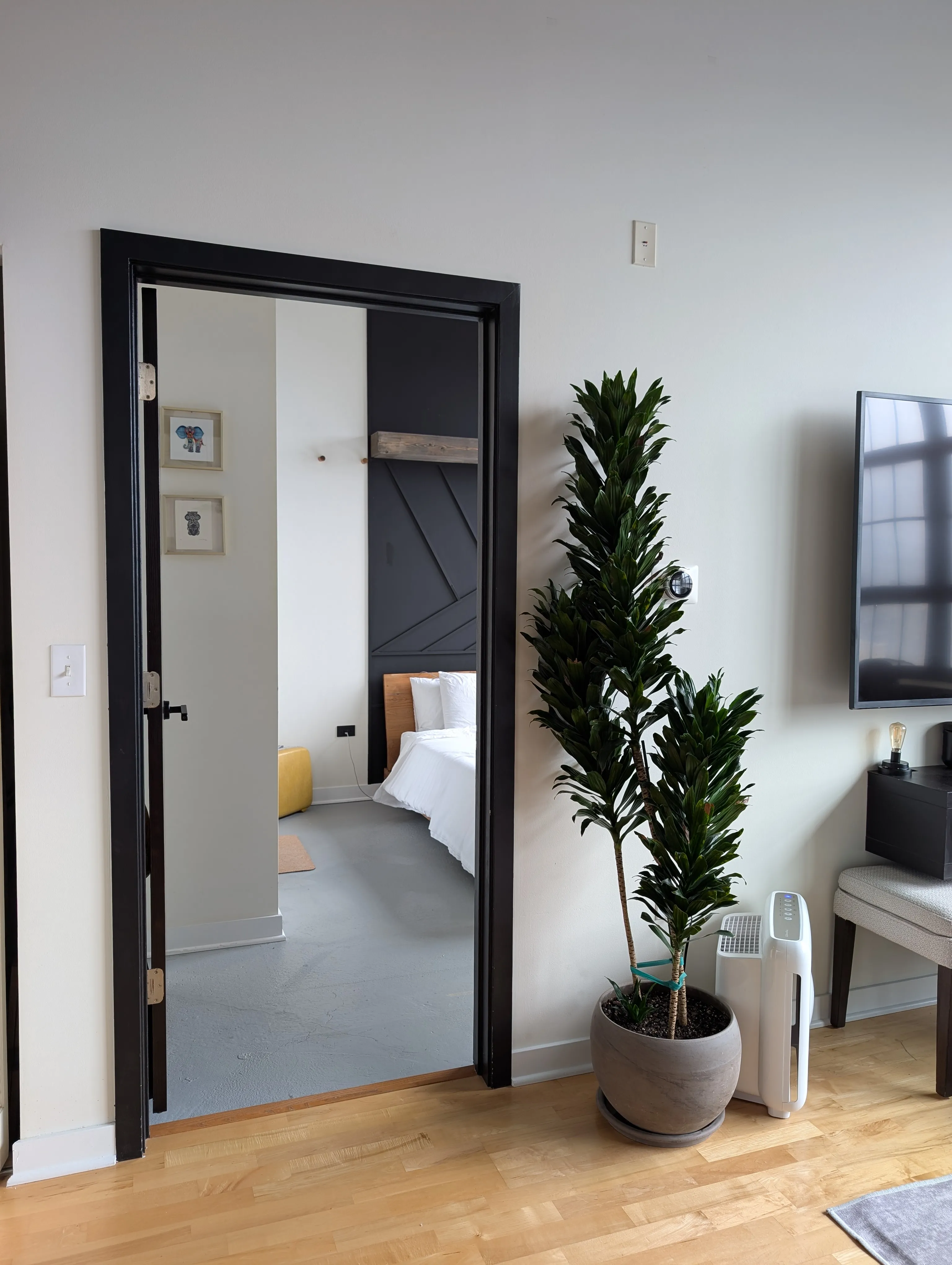 3963 W Belmont Ave   60618 60618-Shoemaker Lofts-unit#339-Chicago-IL