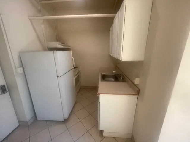 N Lincoln Park West 60614-unit#100C-Chicago-IL