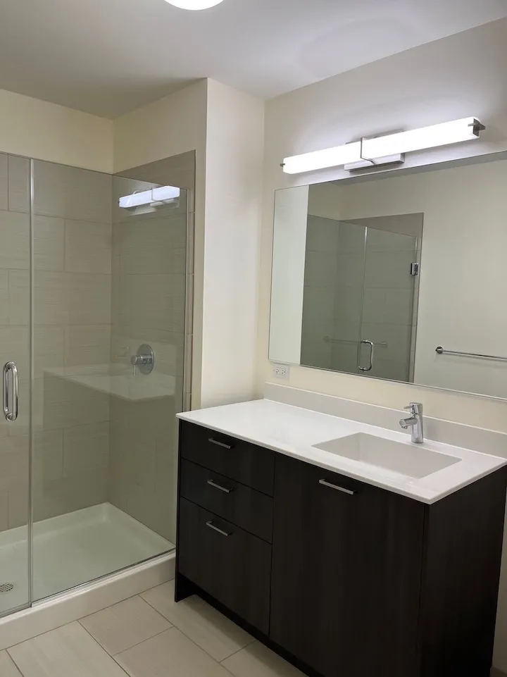 1333 S Wabash Ave   60605 60605-unit#806-Chicago-IL