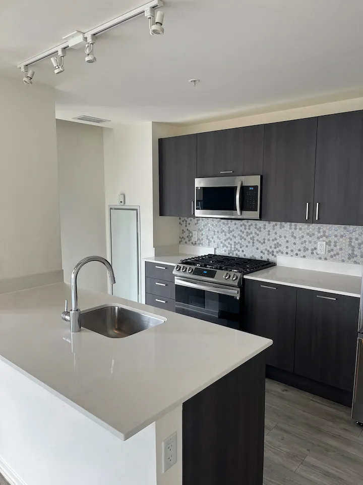 1333 S Wabash Ave   60605 60605-unit#806-Chicago-IL