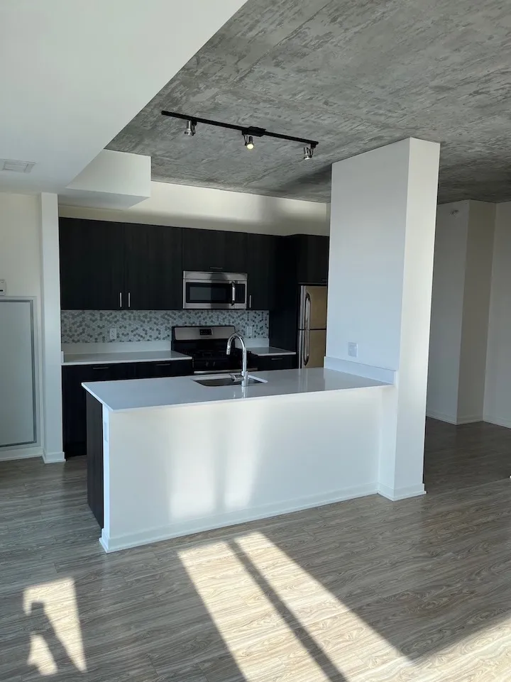 1333 S Wabash Ave   60605 60605-unit#806-Chicago-IL