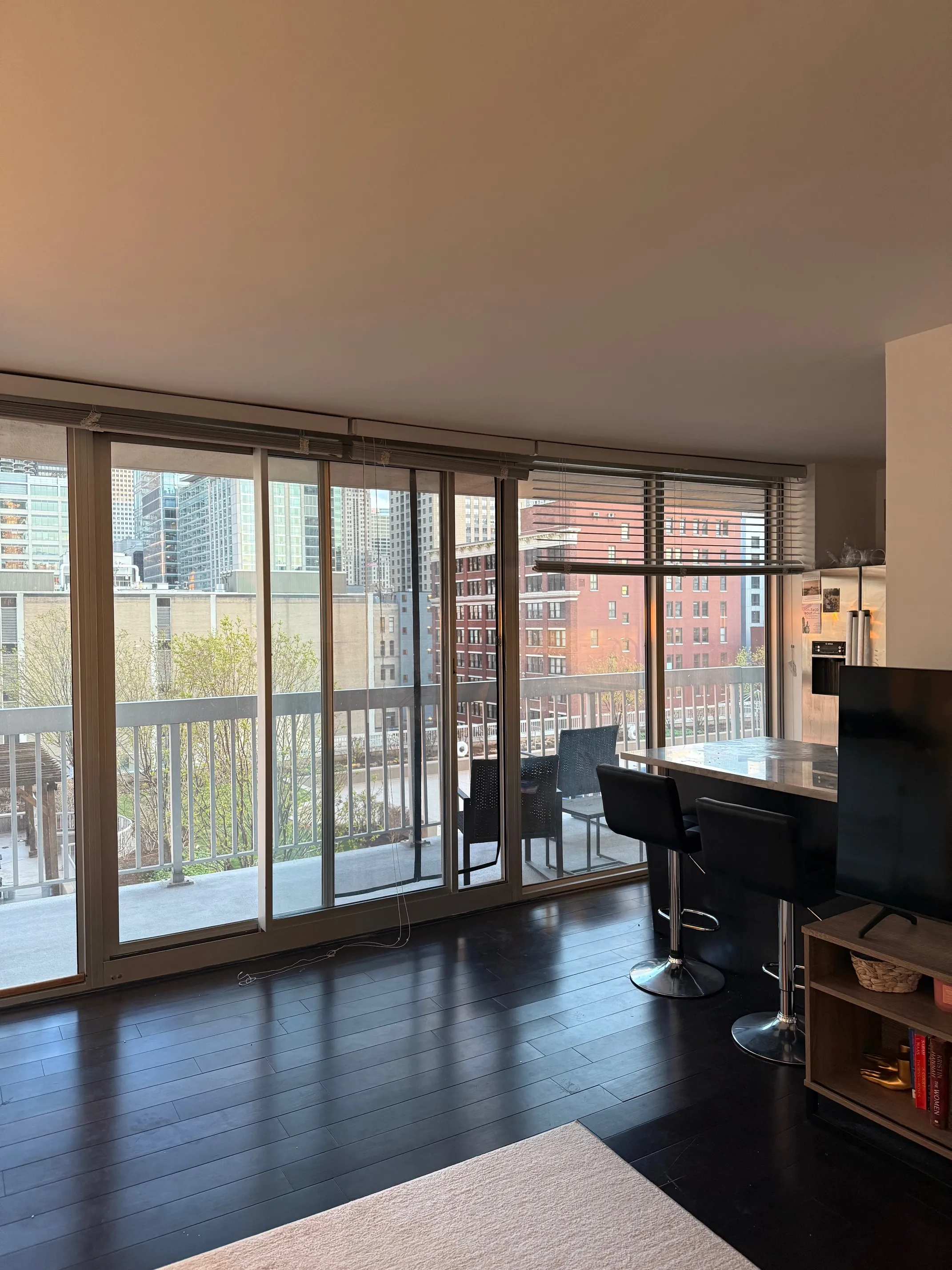 545 N Dearborn St   60654 60654-unit#1107-Chicago-IL