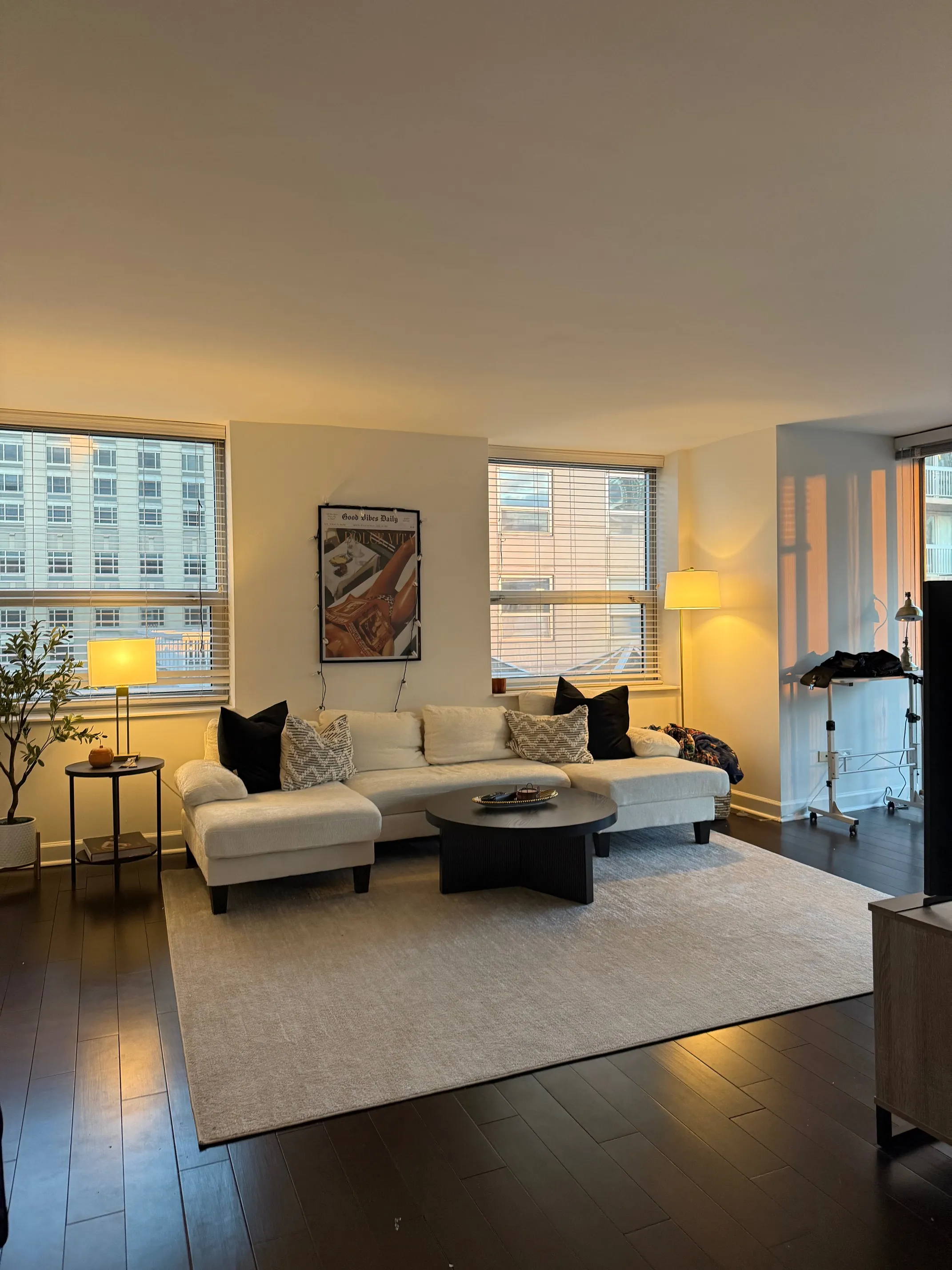 545 N Dearborn St   60654 60654-unit#1107-Chicago-IL