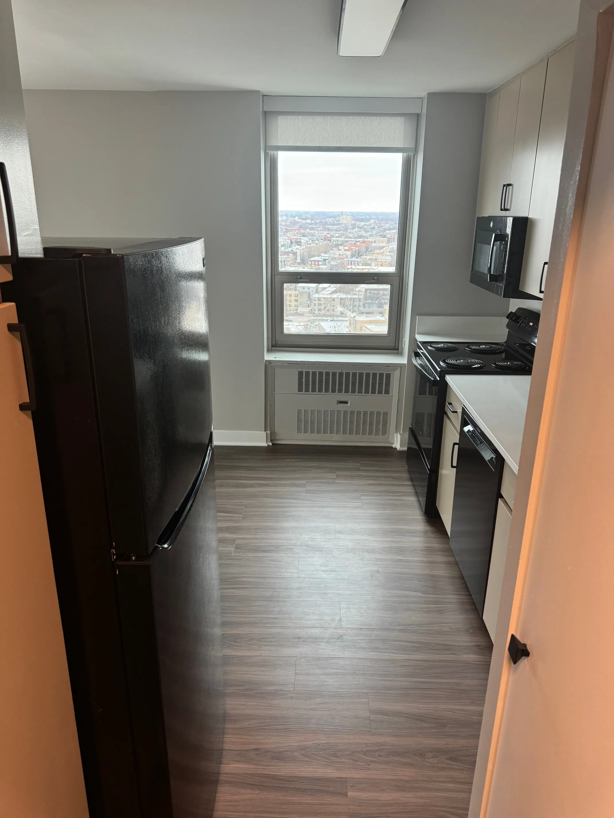 3450 N Lake Shore Dr   60657 60657-unit#1504-Chicago-IL