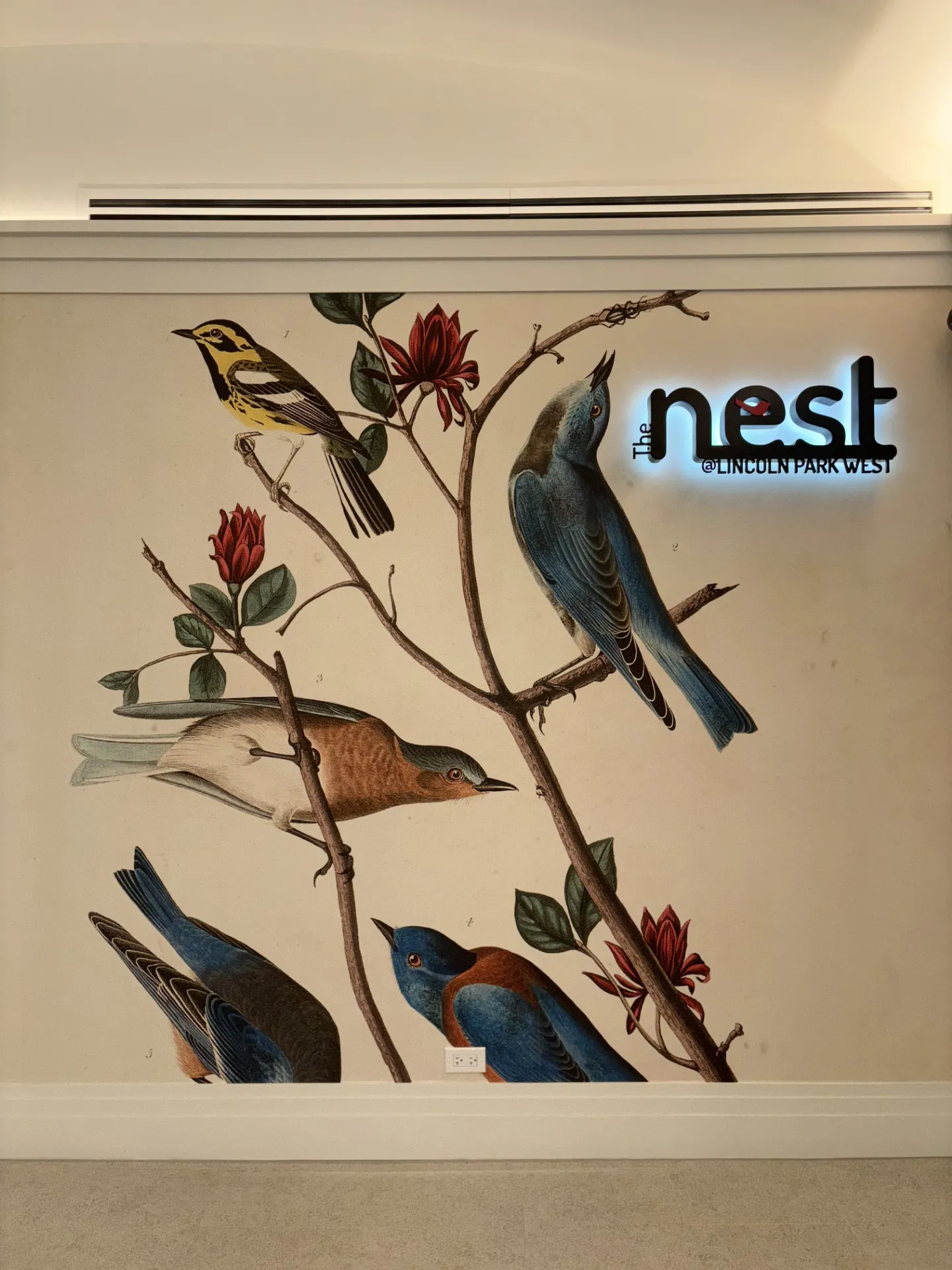 2140 N Lincoln Park W   60614 60614-The Nest-unit#4-Chicago-IL