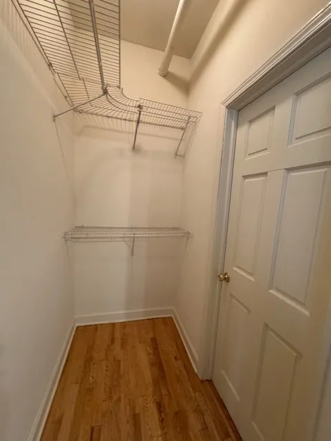 N Lincoln Park West 60614-unit#100C-Chicago-IL