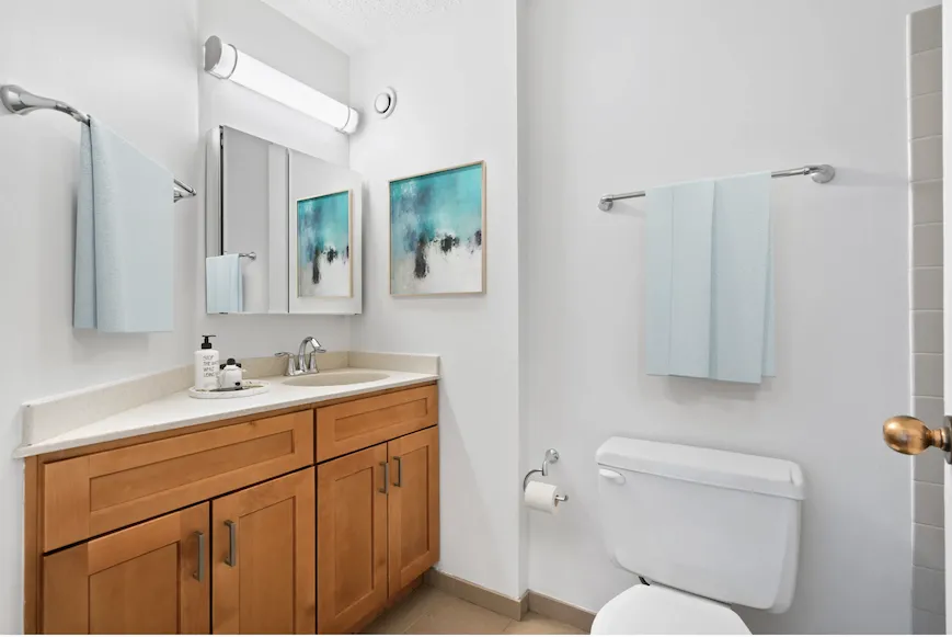 750 N Dearborn St   60654 60654-unit#2903-Chicago-IL