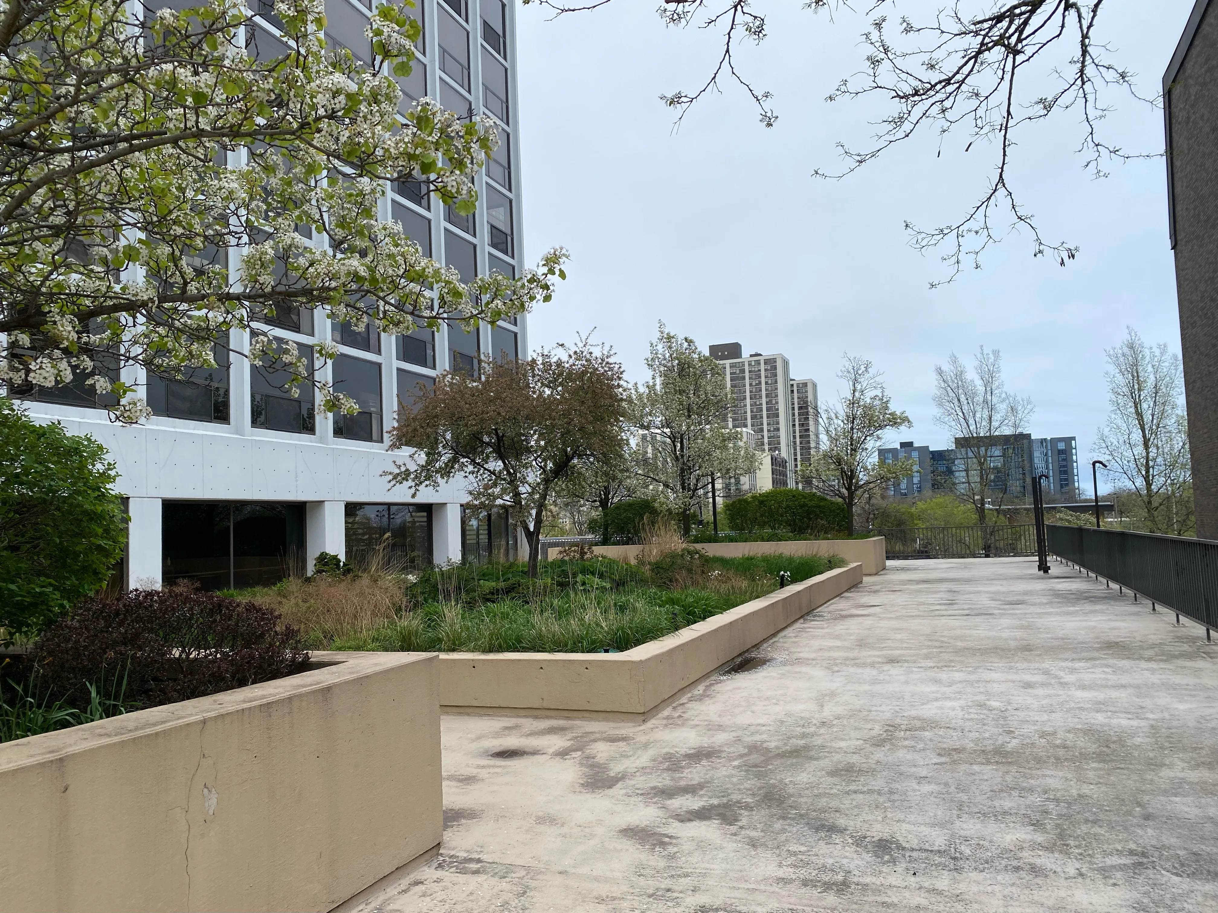 4343 N Clarendon Ave 60613 60613-Chicago-IL