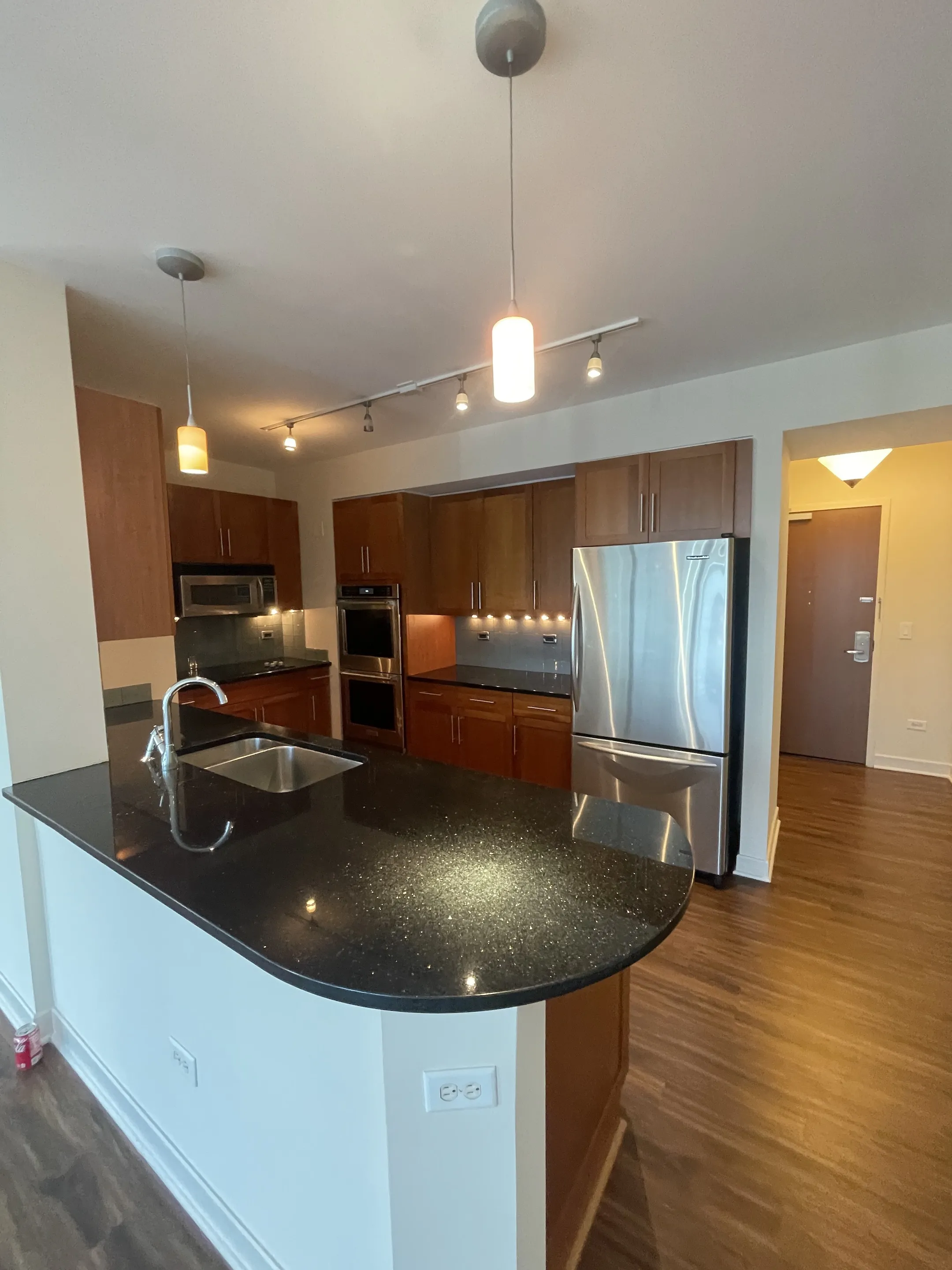 1255 S Michigan Ave   60605 60605-unit#2210-Chicago-IL