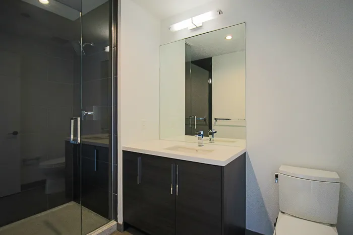 625 W Division St   60610 60610-unit#1605-Chicago-IL