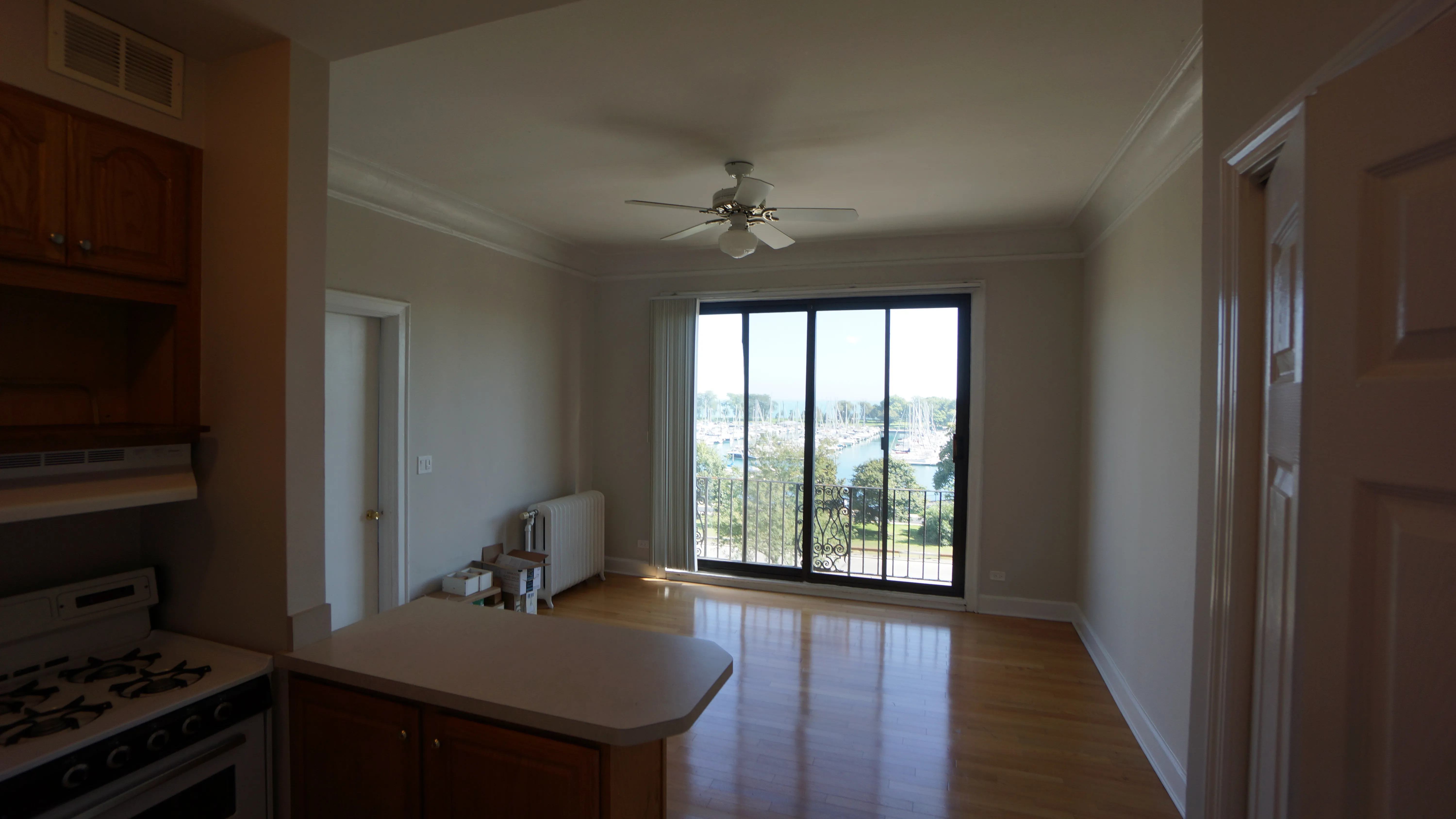 3330 N Lake Shore Dr 60657 60657-3330 N Lakeshore Drive-unit#5C-Chicago-IL
