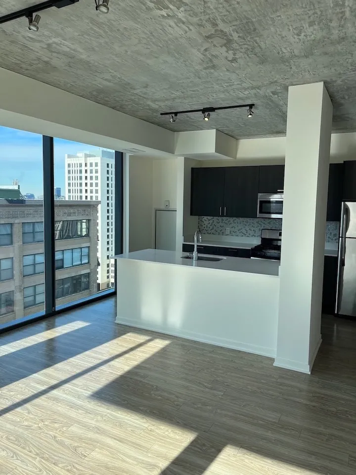 1333 S Wabash Ave   60605 60605-unit#1513-Chicago-IL