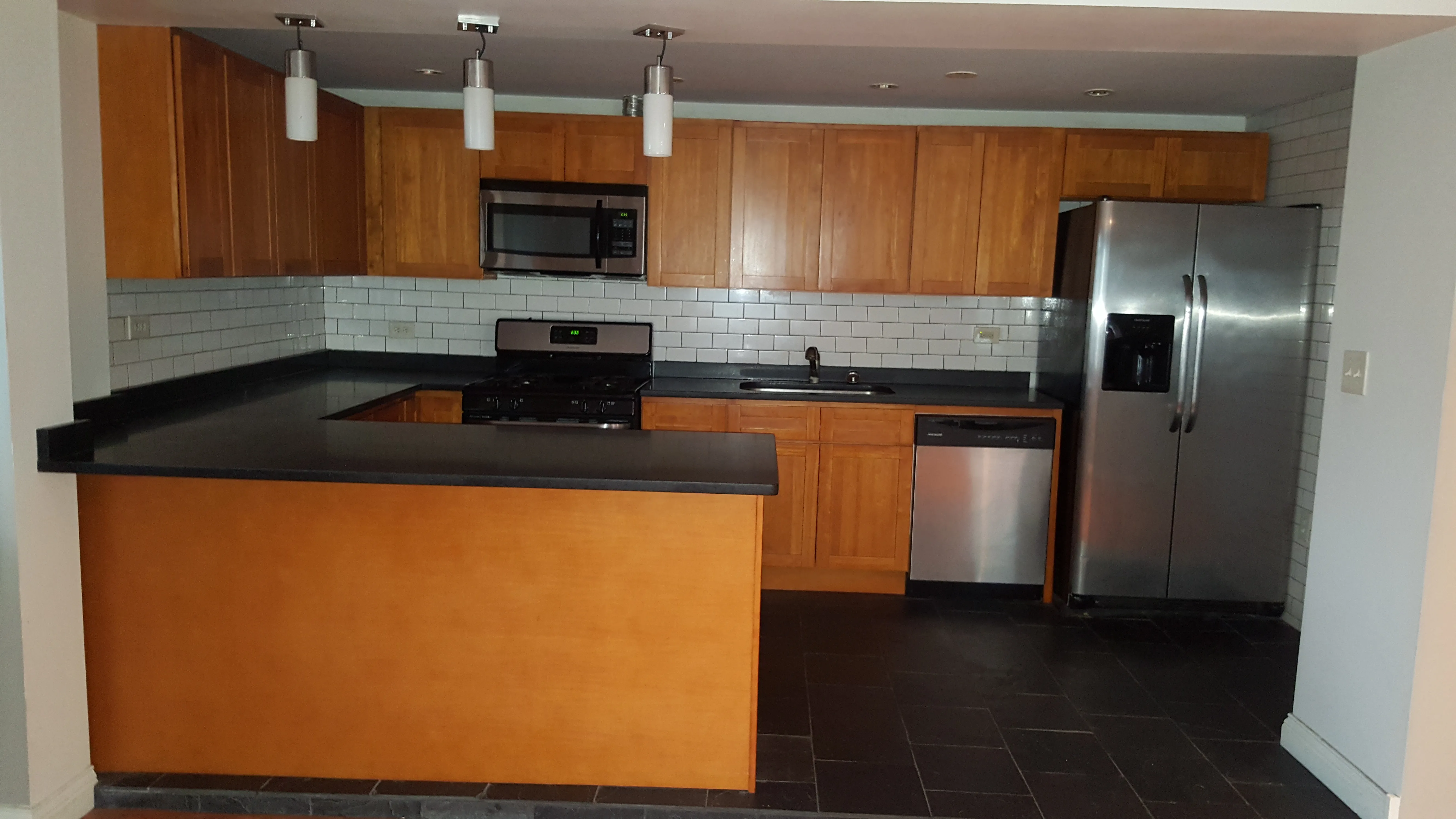 1057 N Honore St 60622 60622-unit#1 gdn-Chicago-IL