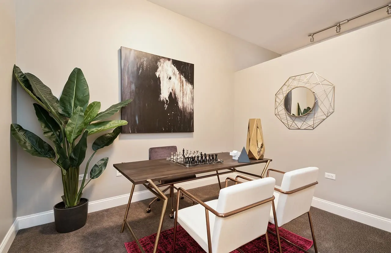 1935 S Wabash Ave 60616 60616-unit#528-Chicago-IL