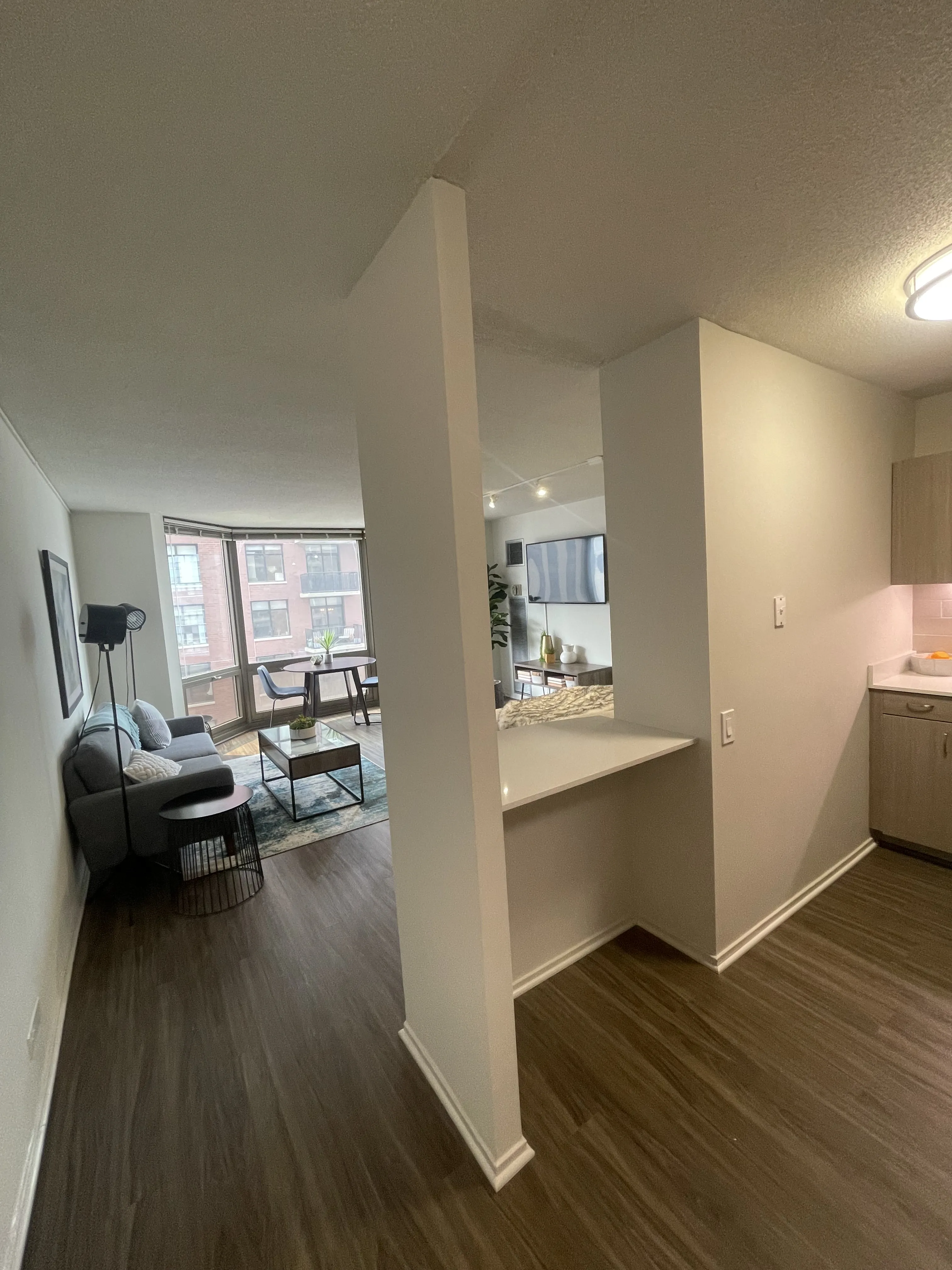 1130 N Dearborn St 60610 60610-unit#1605-Chicago-IL