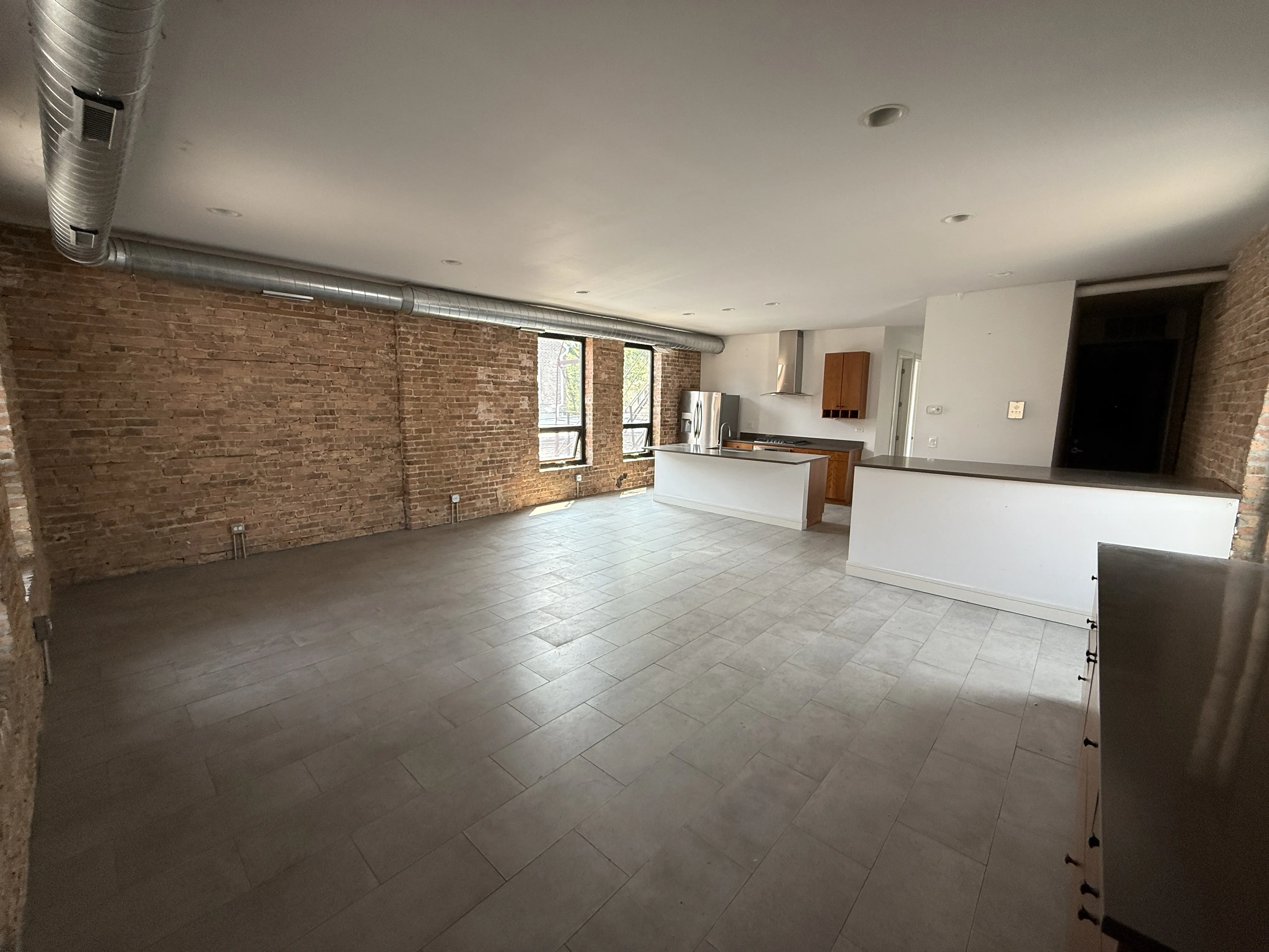 1514 W 18th Pl 60608 60608-unit#2-Chicago-IL