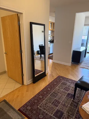 41 E 8th St 60605 60605-unit#2301-Chicago-IL