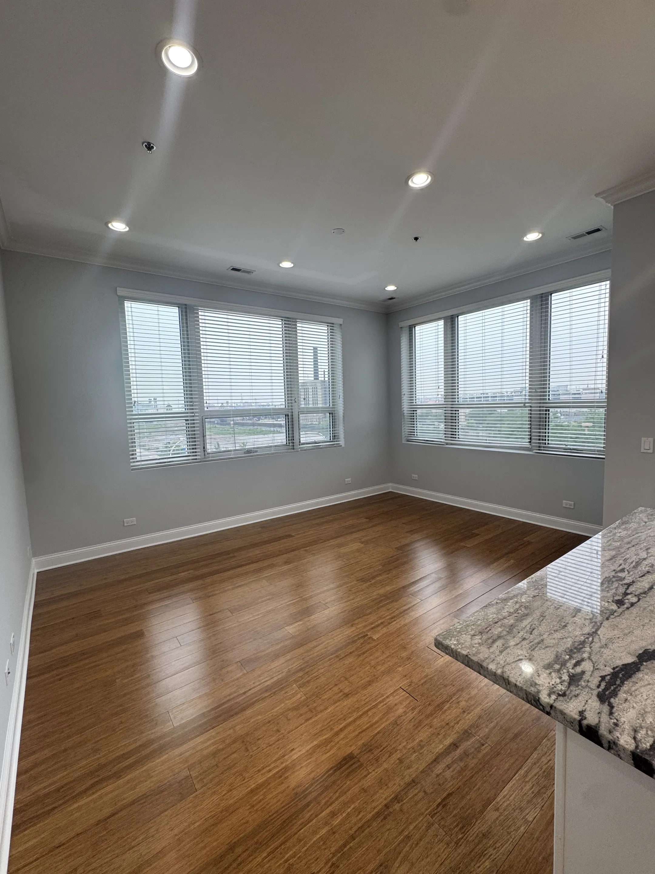 839 S Wells St 60607 60607-unit#312-Chicago-IL