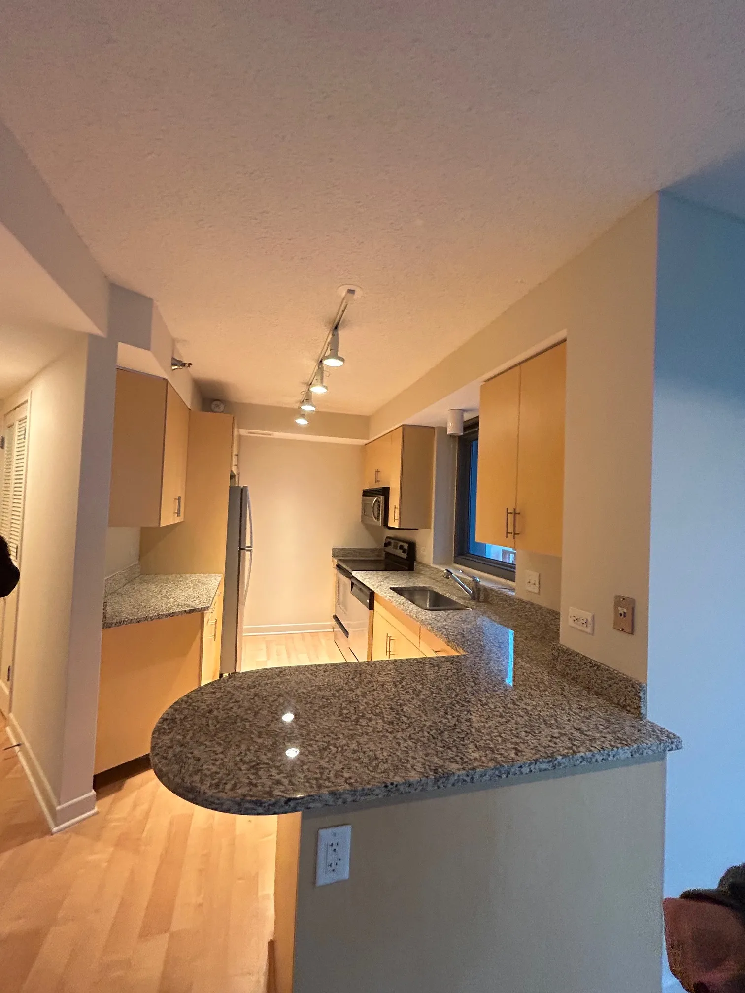 1255 S Michigan Ave 60605 60605-unit#3610-Chicago-IL