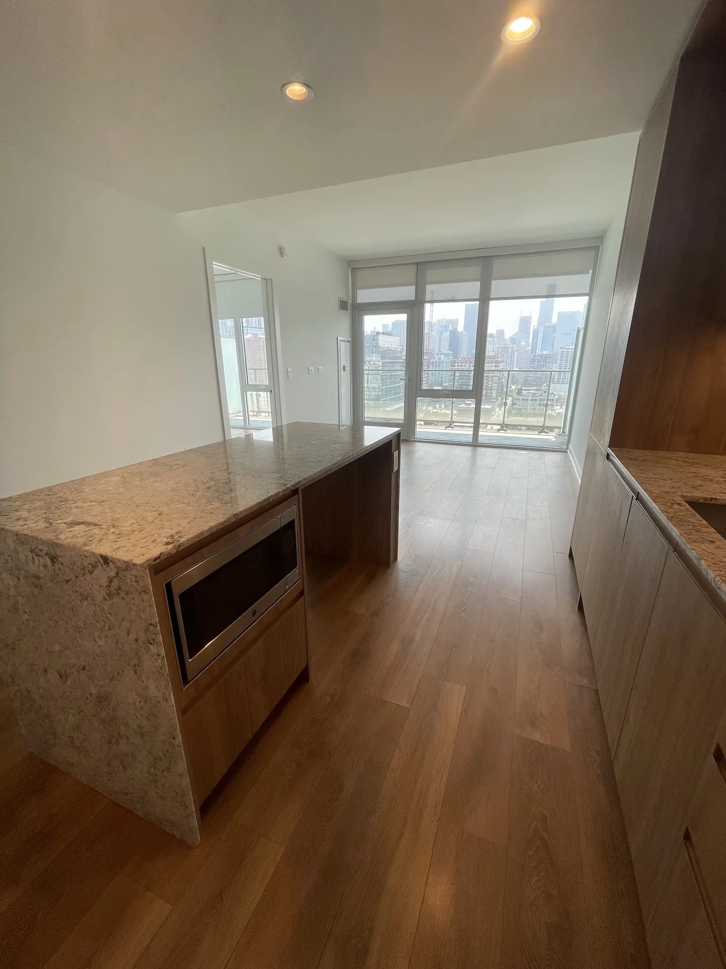 1140 N Wells St 60610 60610-unit#1805-Chicago-IL