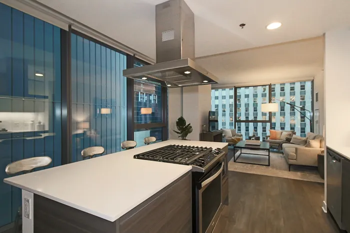 221 W Hubbard St 60654 60654-unit#813-Chicago-IL