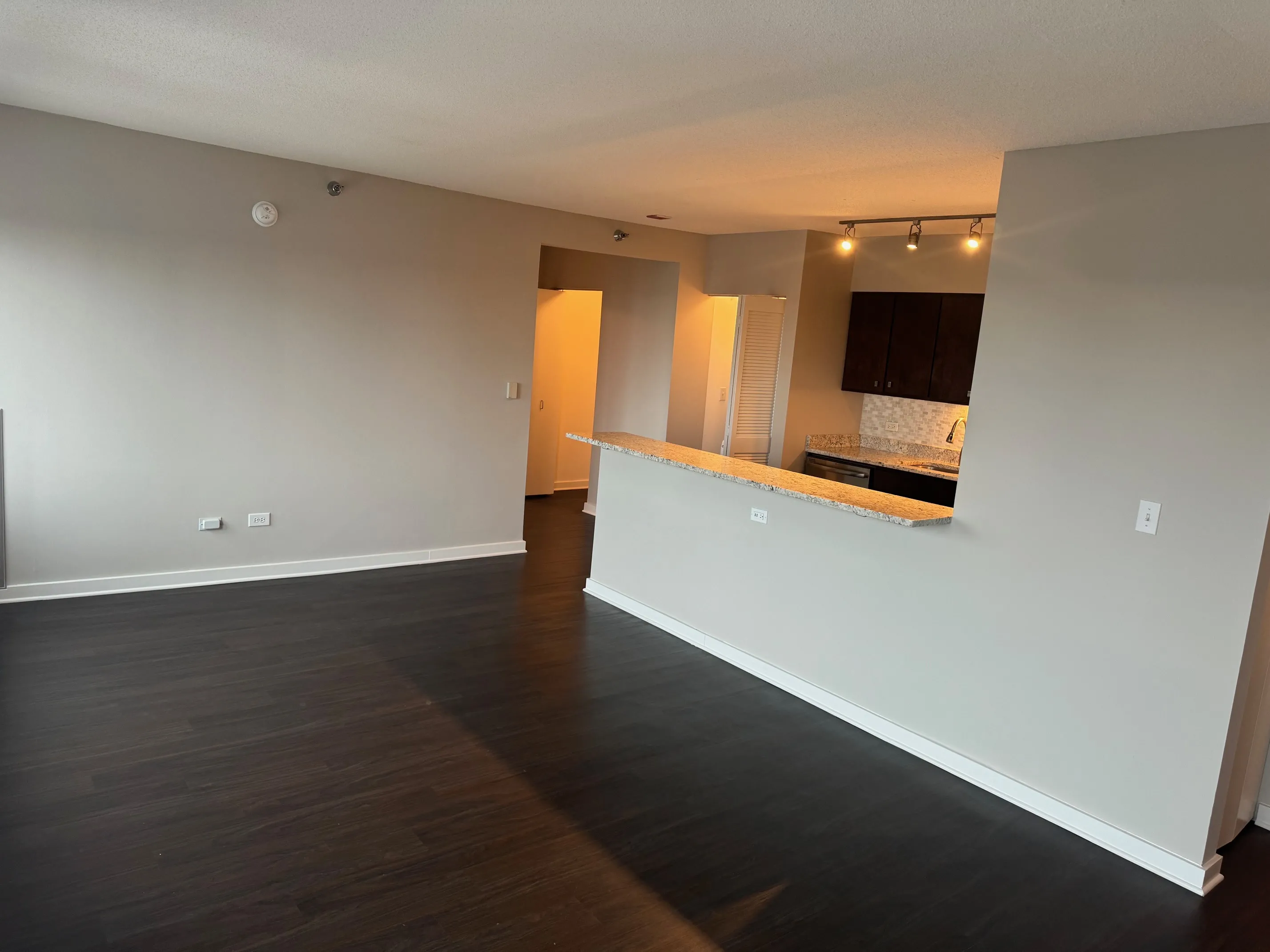 121 W Chestnut St   60610 60610-unit#3406-Chicago-IL