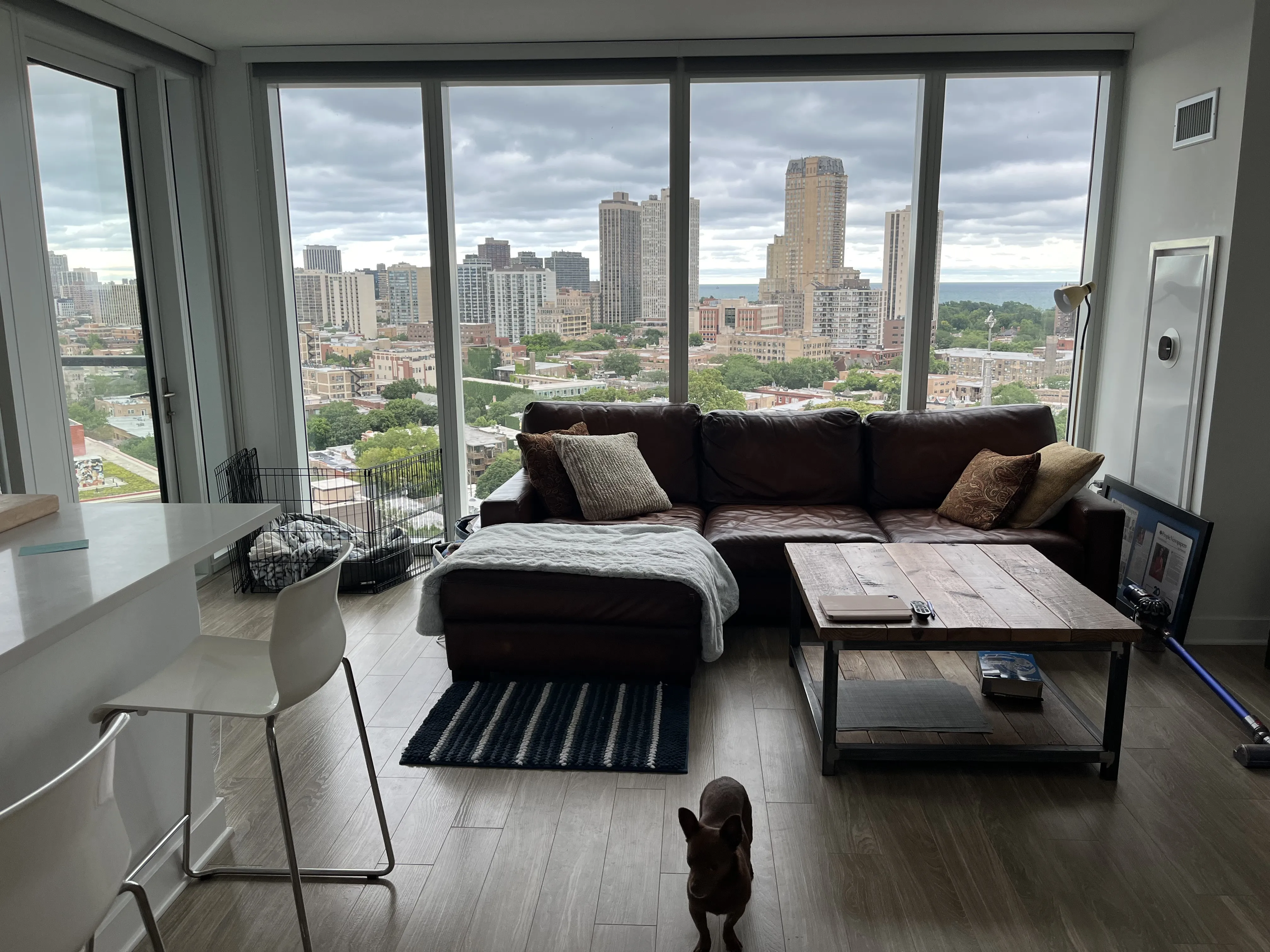 2335 N Lincoln Ave 60614 60614-Lincoln Common -unit#1706 -Chicago-IL