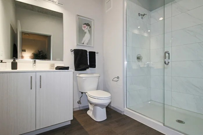 717 S Clark St   60605 60605-unit#2513-Chicago-IL