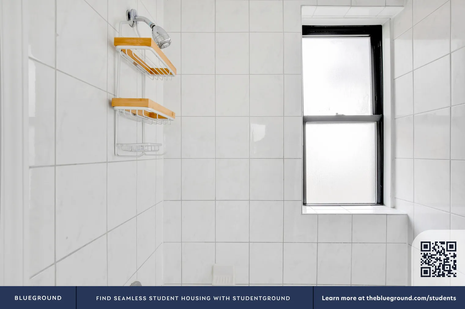 200 E Chestnut St   60611 60611-The Seneca-unit#ID618-Chicago-IL