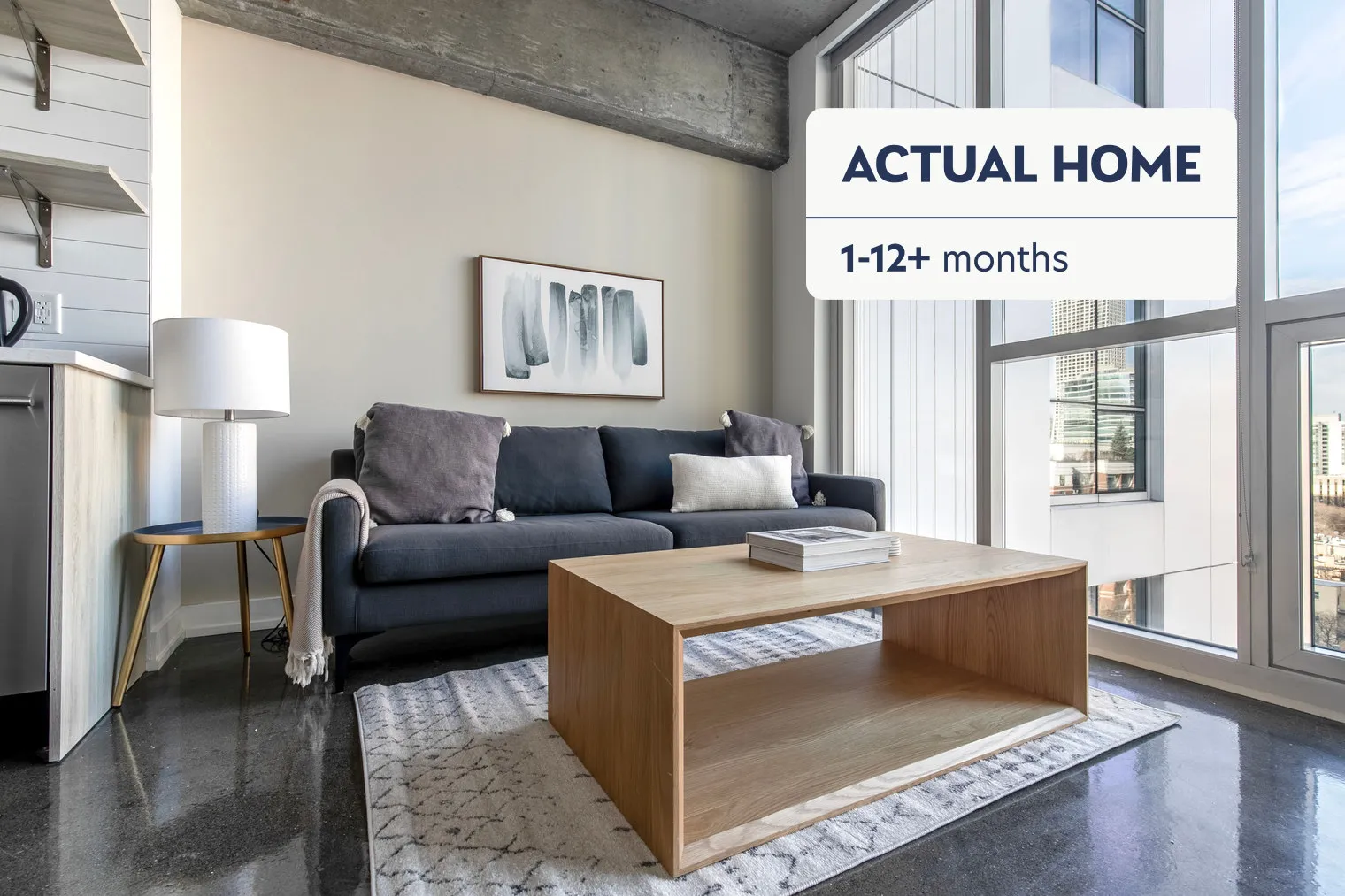 108 W Ave 60654 60654-Bush Temple Tower-unit#ID1012-Chicago-IL
