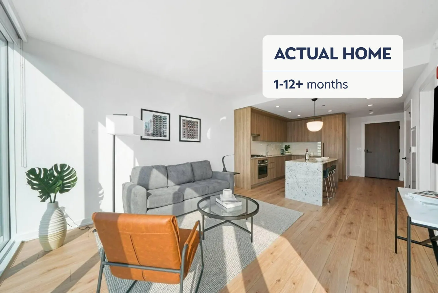 231 S LaSalle St 60604 60604-unit#ID407363P-Chicago-IL
