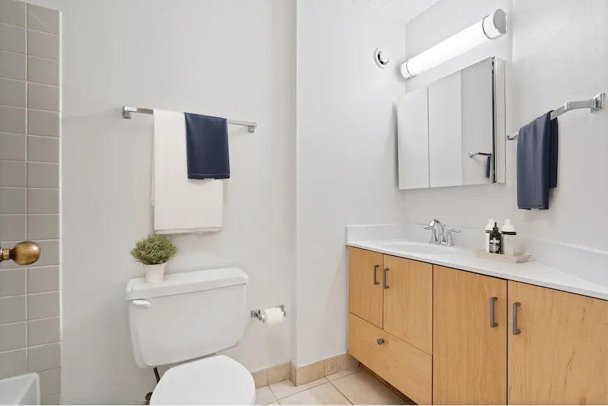 750 N Dearborn St 60654 60654-unit#405-Chicago-IL