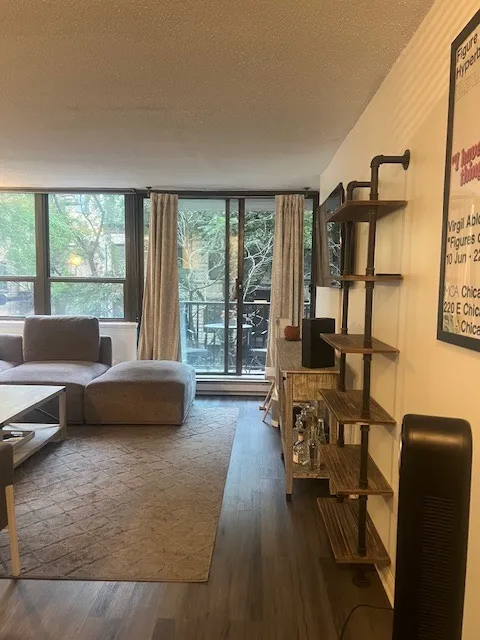 2740 N Pine Grove Ave   60614 60614-unit#2C-Chicago-IL