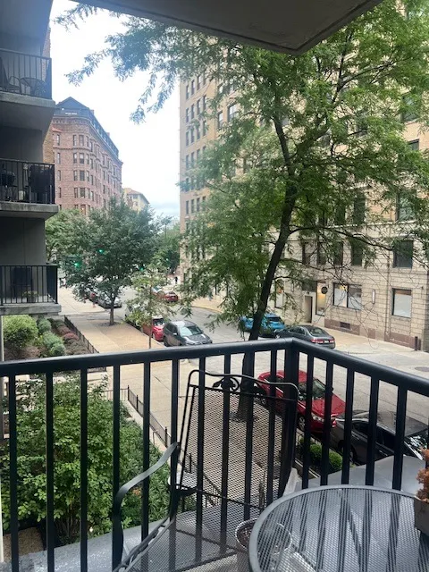 2740 N Pine Grove Ave   60614 60614-unit#2C-Chicago-IL