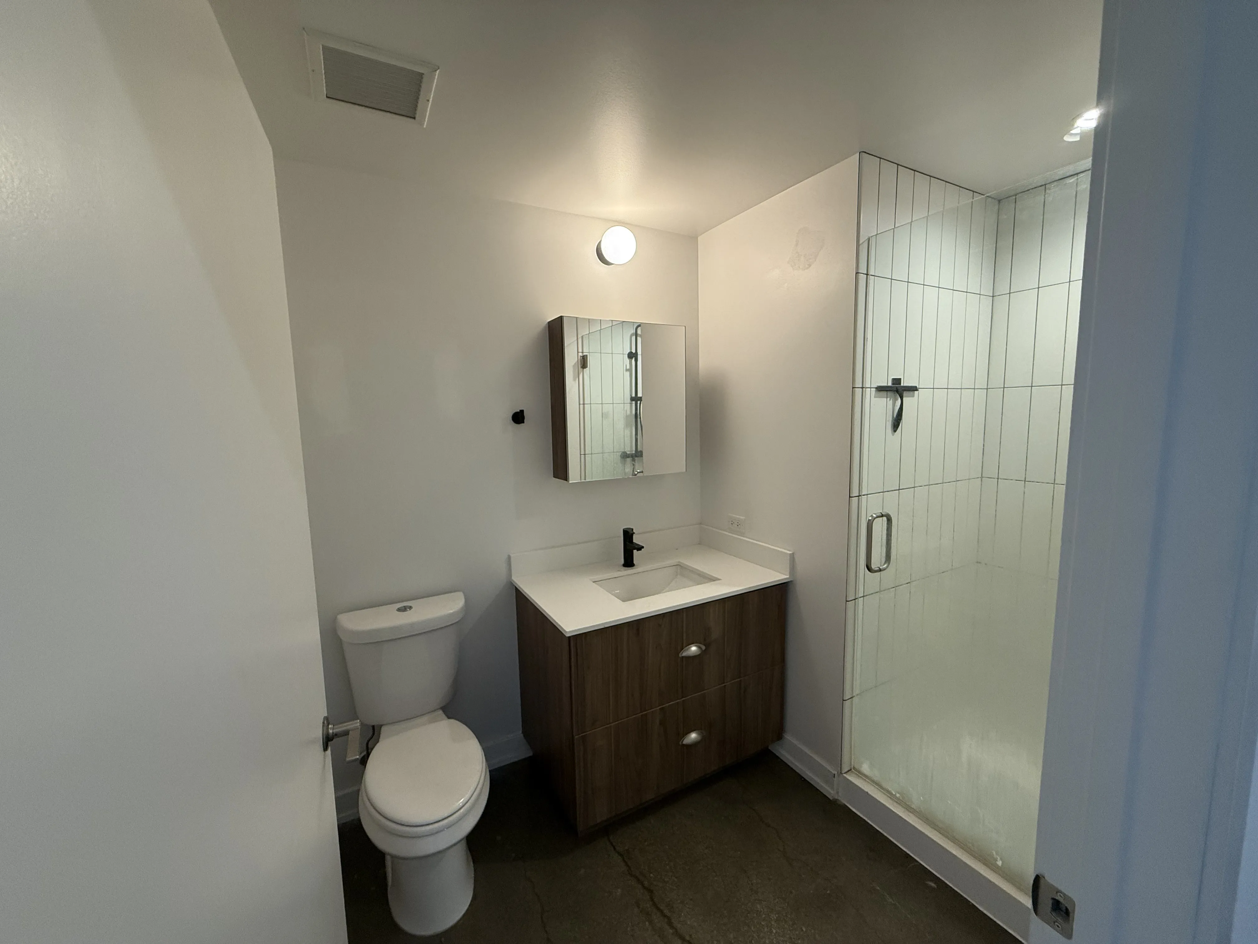 1461 S Blue Island Ave   60608 60608-unit#333-Chicago-IL