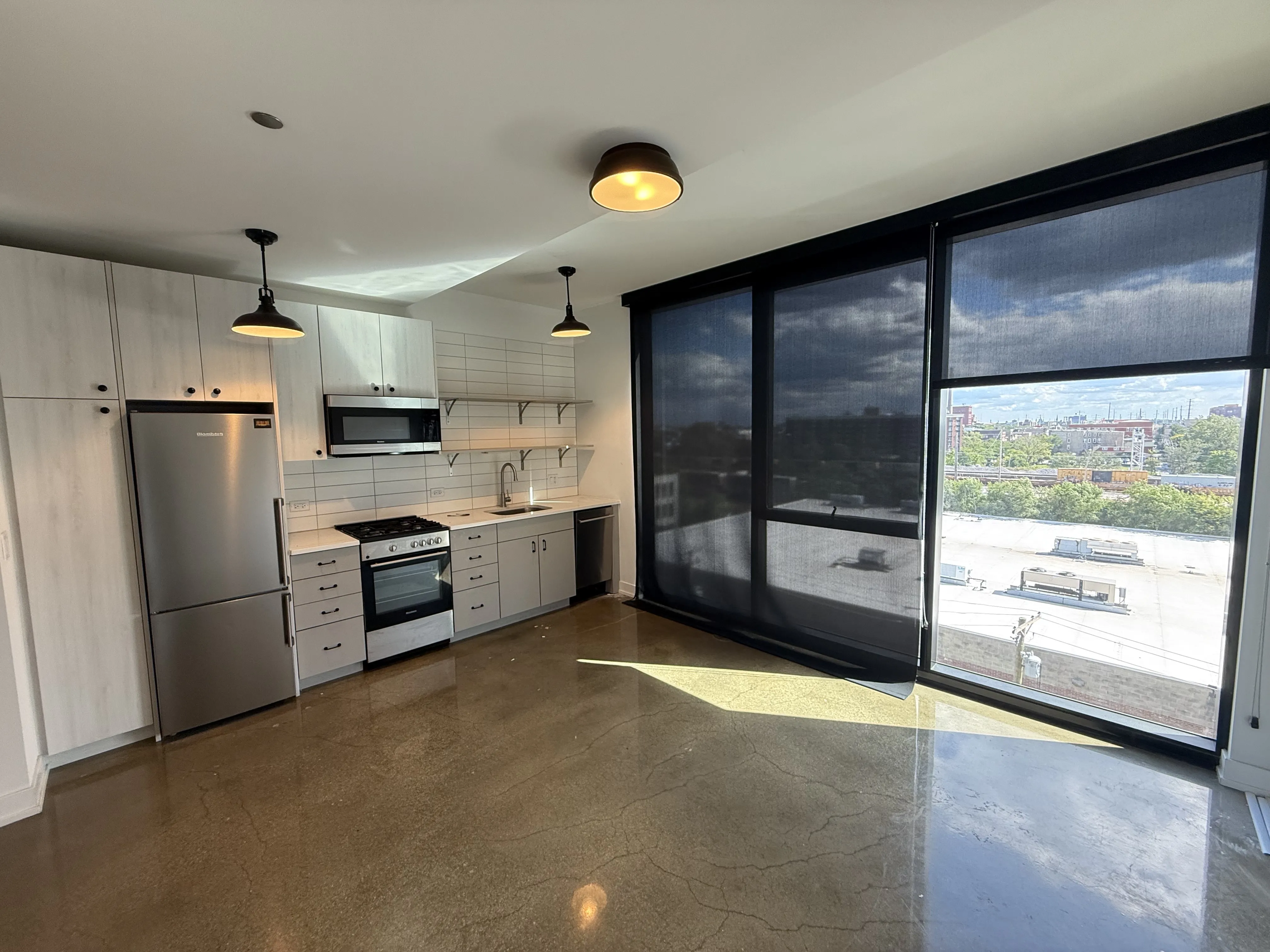 1461 S Blue Island Ave 60608 60608-unit#333-Chicago-IL