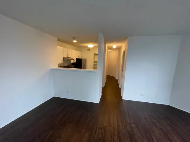 445 E Ohio St 60611 60611-unit#1218-Chicago-IL