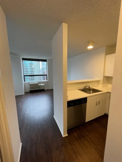 445 E Ohio St 60611 60611-unit#1218-Chicago-IL