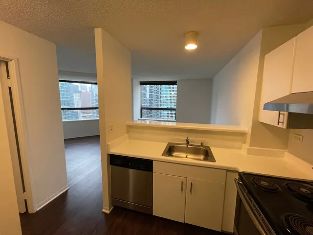 445 E Ohio St 60611 60611-unit#1218-Chicago-IL