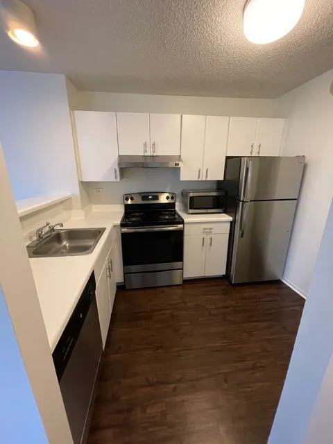 445 E Ohio St 60611 60611-unit#1218-Chicago-IL