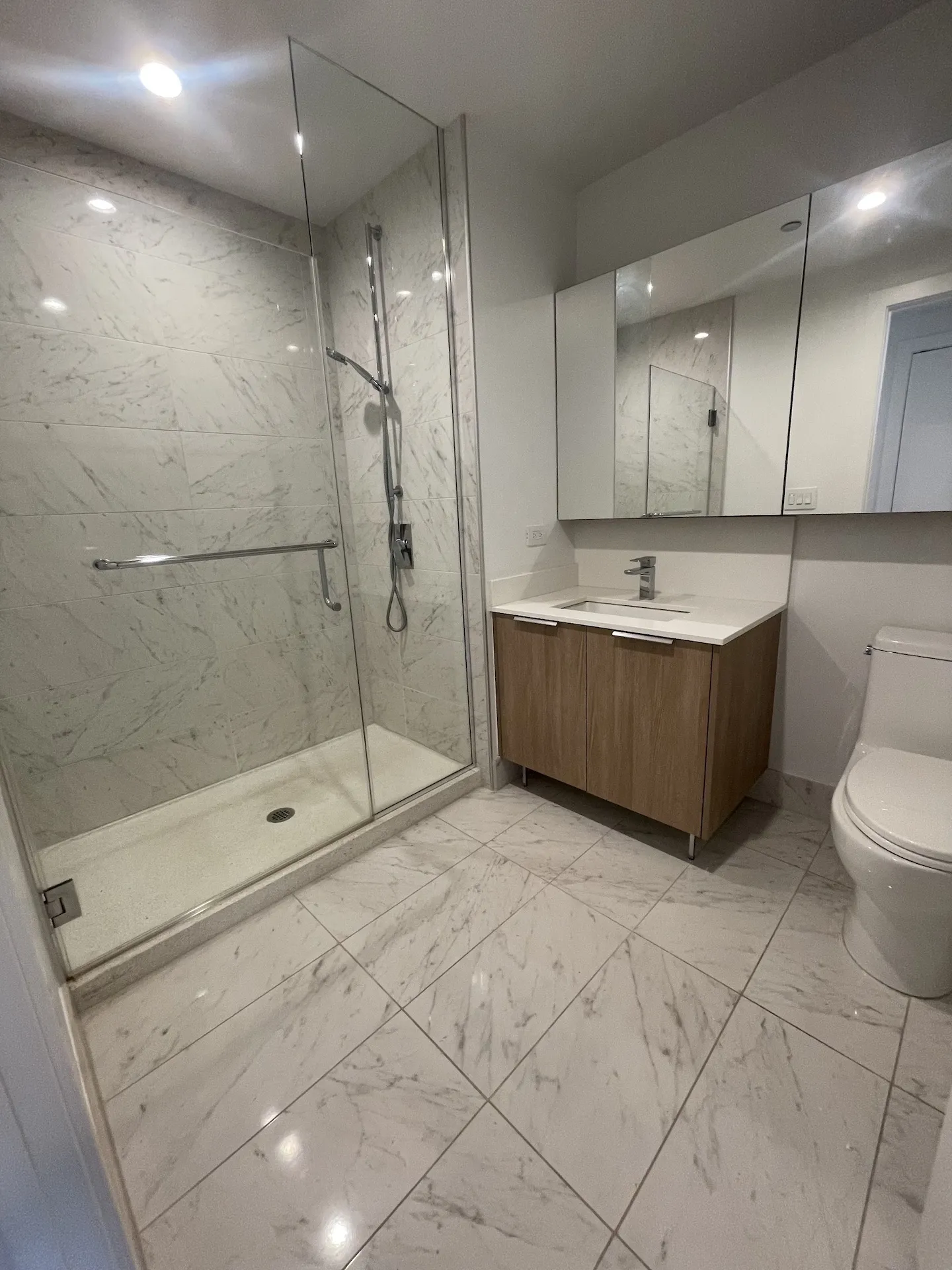 1140 N Wells St   60610 60610-unit#1805-Chicago-IL