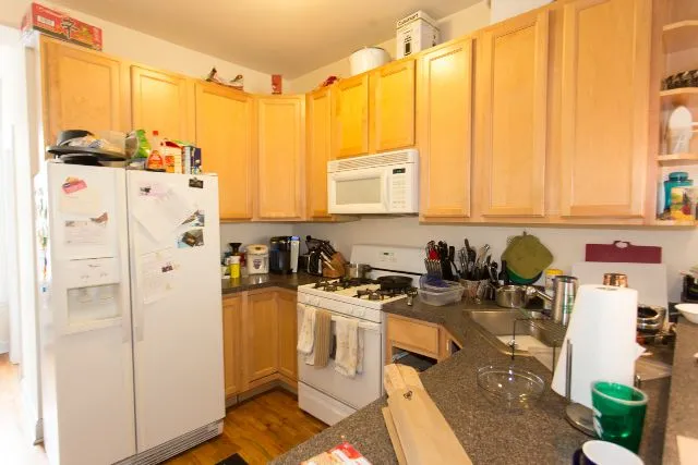 1720 W Beach, , 60622 60622-unit#3-Chicago-IL
