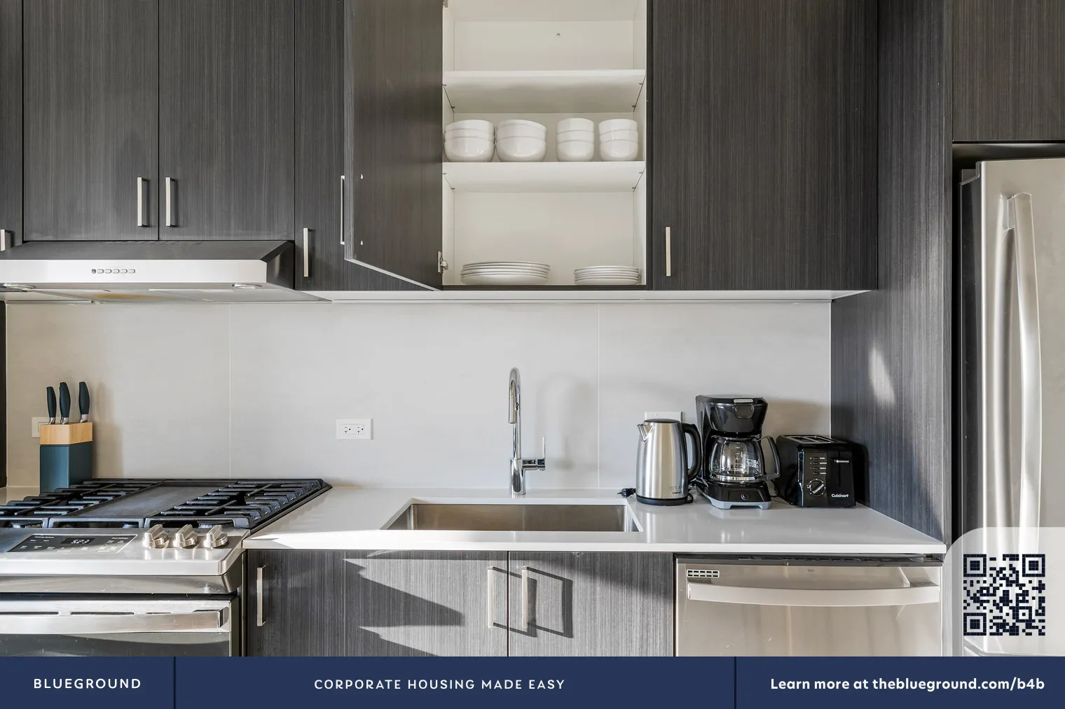 343 W Schiller St   60610 60610-Than Tower-unit#ID1311-Chicago-IL