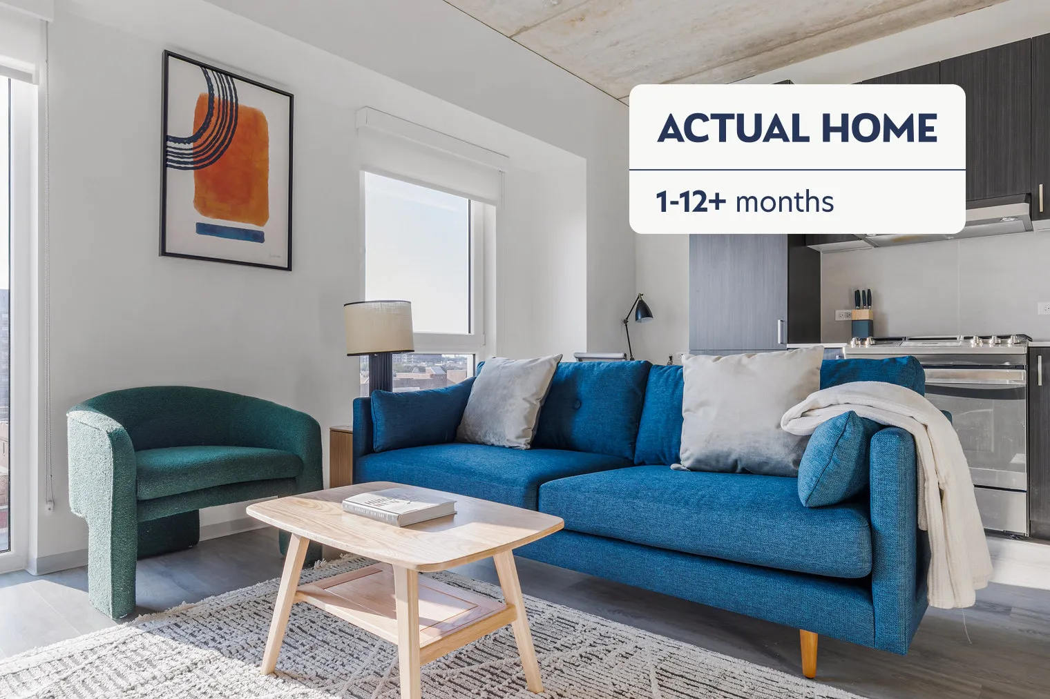 343 W Schiller St 60610 60610-Than Tower-unit#ID1311-Chicago-IL