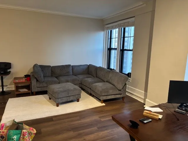 3170 N Sheridan Rd 60657 60657-The Belmont Reside-unit#1124-Chicago-IL